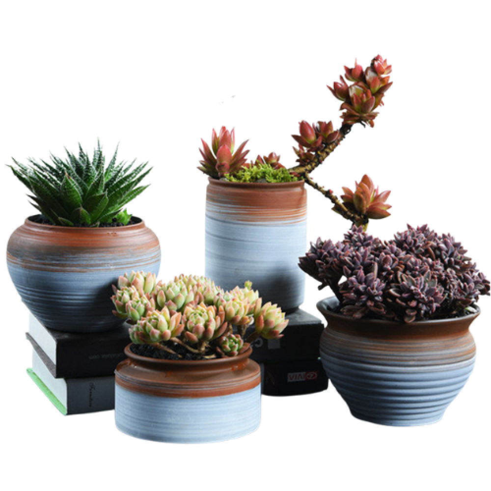 Decorative Terracotta Pots | Set Of 4